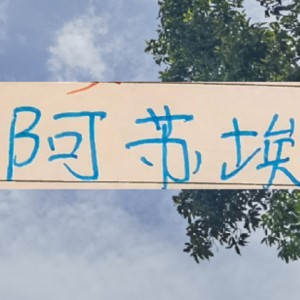 澳门新葡京-还差一个外援！到时候是阿苏埃出现 还是申花新的大鱼上岸？|上海申花|阿莱士-特谢拉-桑托斯|上海申花足球俱乐部|托尼·罗伯茨|马纳法_新浪体育_新浪新闻